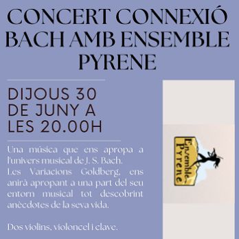 Activitat pedagògica del concert d'Ensemble Pyrene i Concert- Connexió Bach amb Ensemble Pyrene
