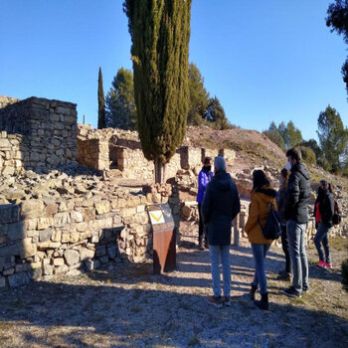 Visita guiada al jaciment arqueològic del poblat ibèric del Cogulló de Sallent