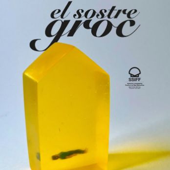 Cicle Gaudí: EL SOSTRE GROC (pel·lícula d'Isabel Coixet)